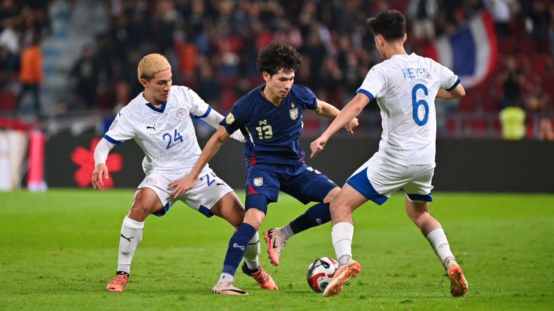 仅仅依靠个 仅仅依靠个