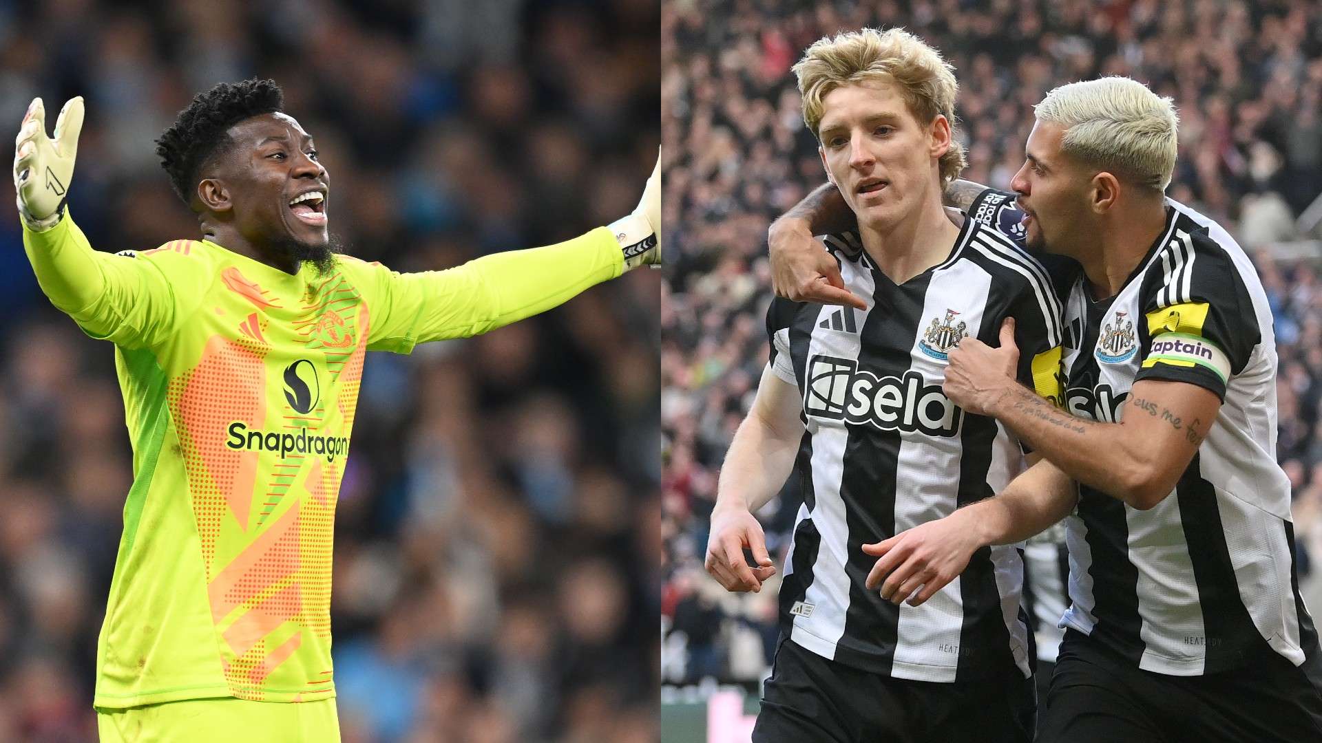 自己的节奏 自己的节奏